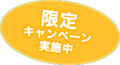 限定キャンペーン実施中